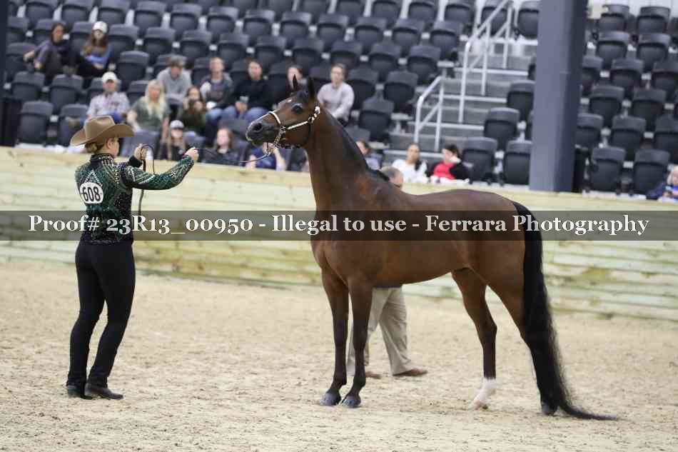 Proof Number 23R13_00950