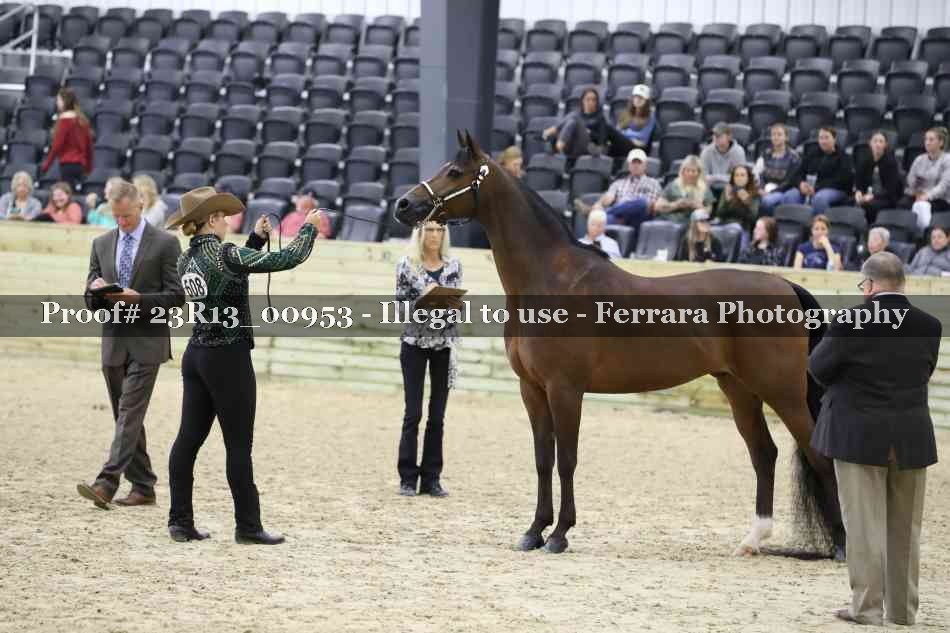 Proof Number 23R13_00953
