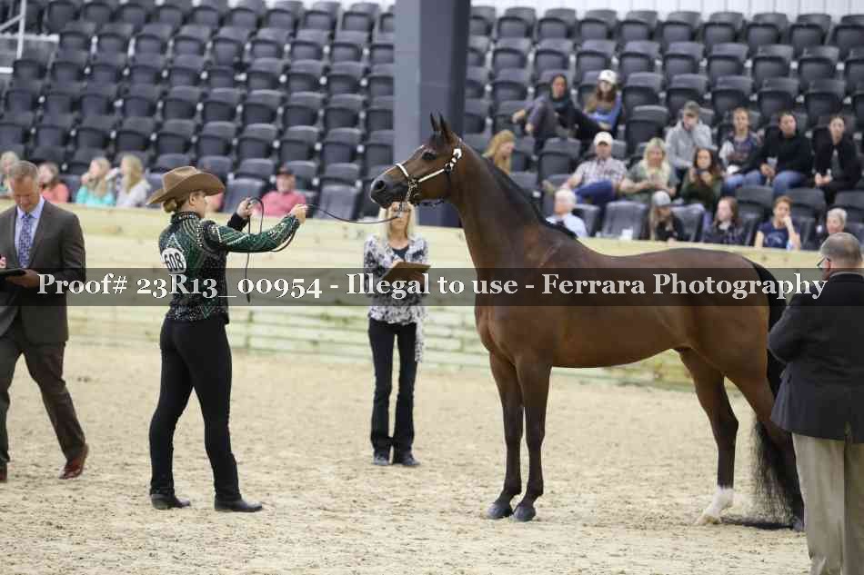 Proof Number 23R13_00954