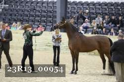 23R13_00954 thumbnail