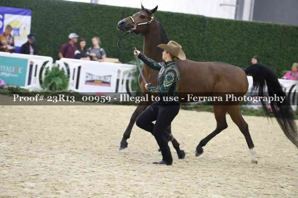 Proof Number 23R13_00959