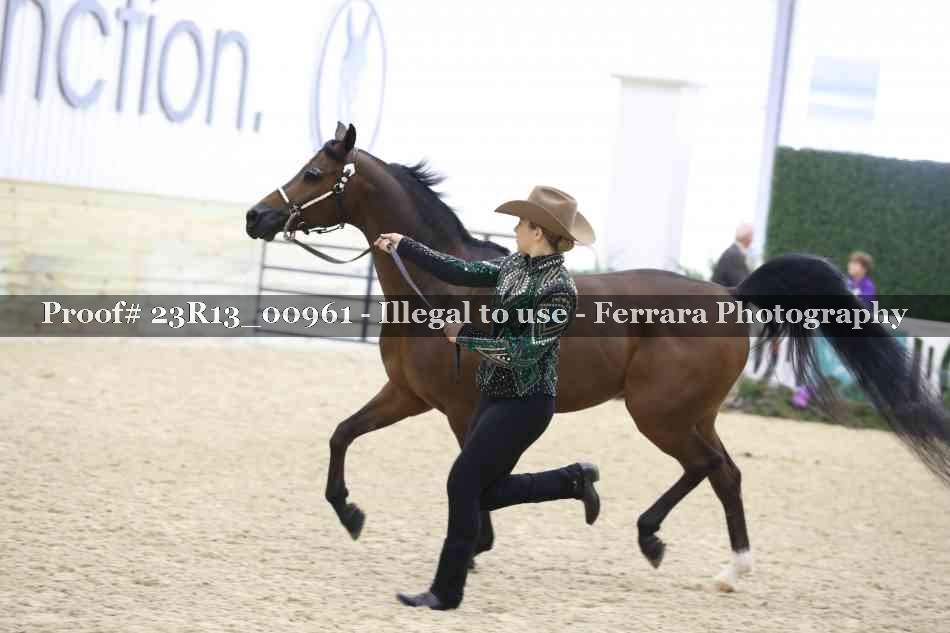 Proof Number 23R13_00961