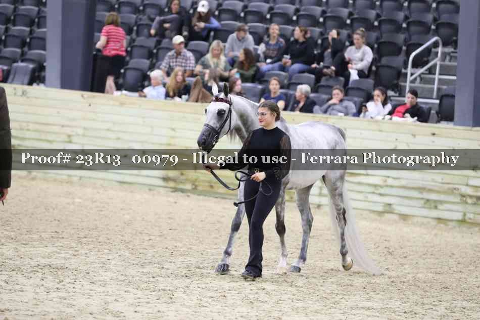 Proof Number 23R13_00979