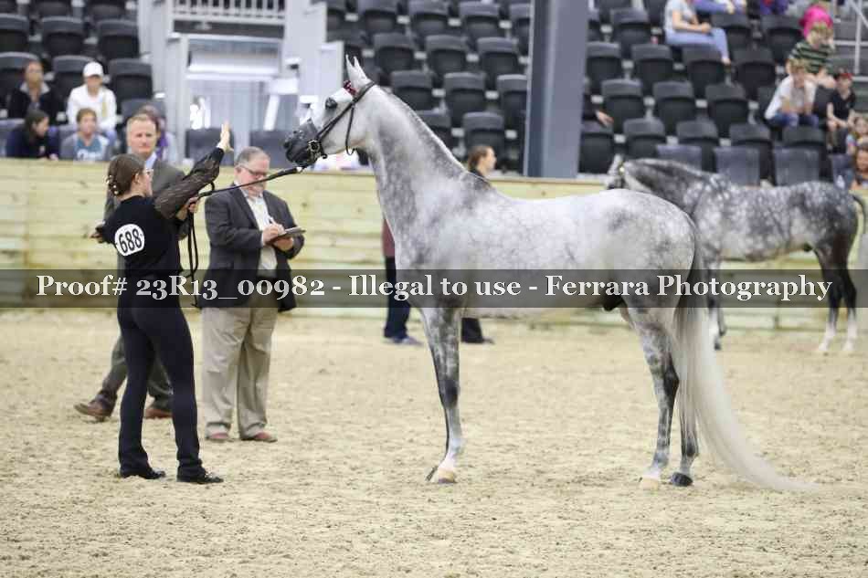 Proof Number 23R13_00982