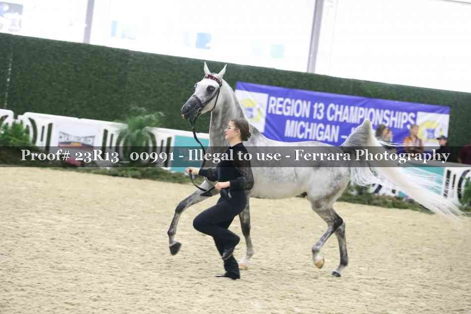 Proof Number 23R13_00991