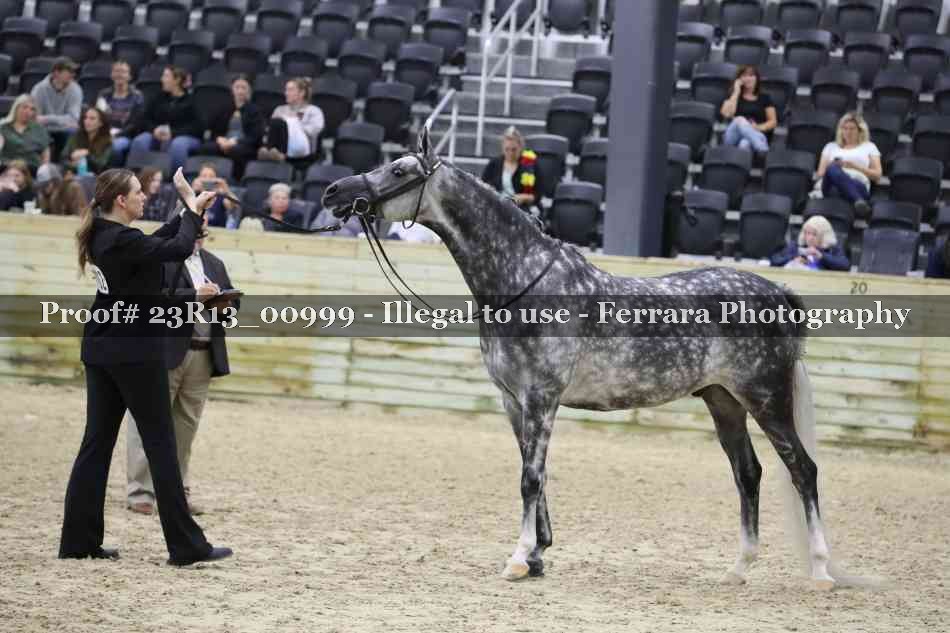 Proof Number 23R13_00999
