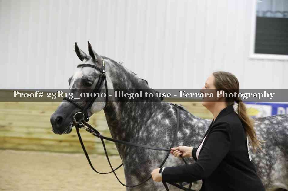Proof Number 23R13_01010