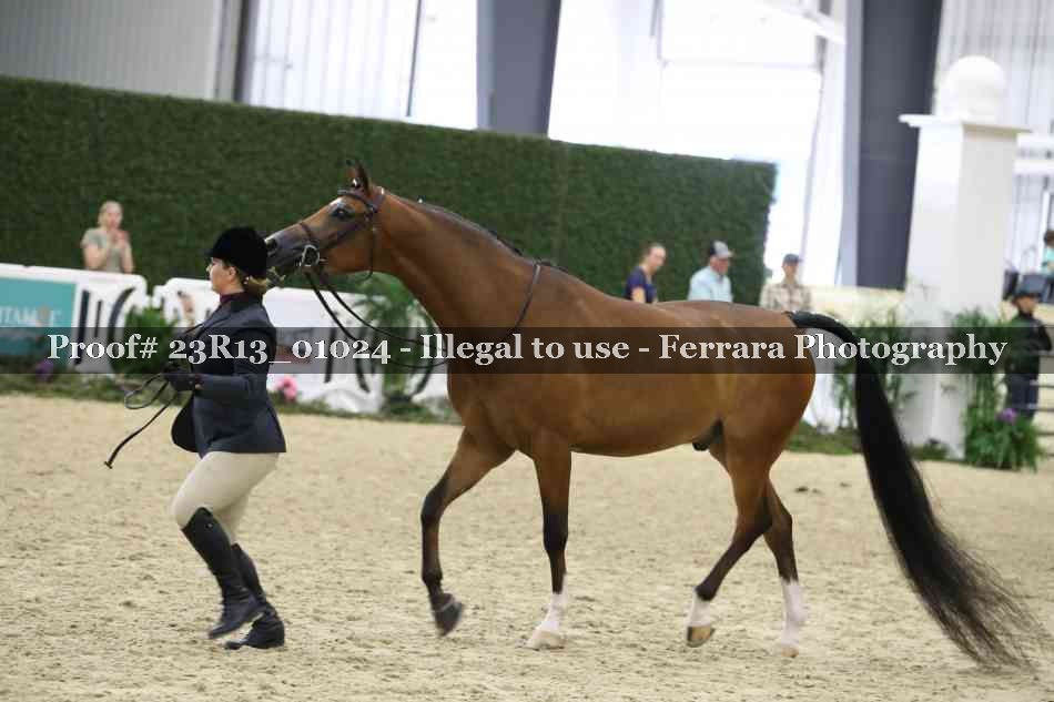 Proof Number 23R13_01024