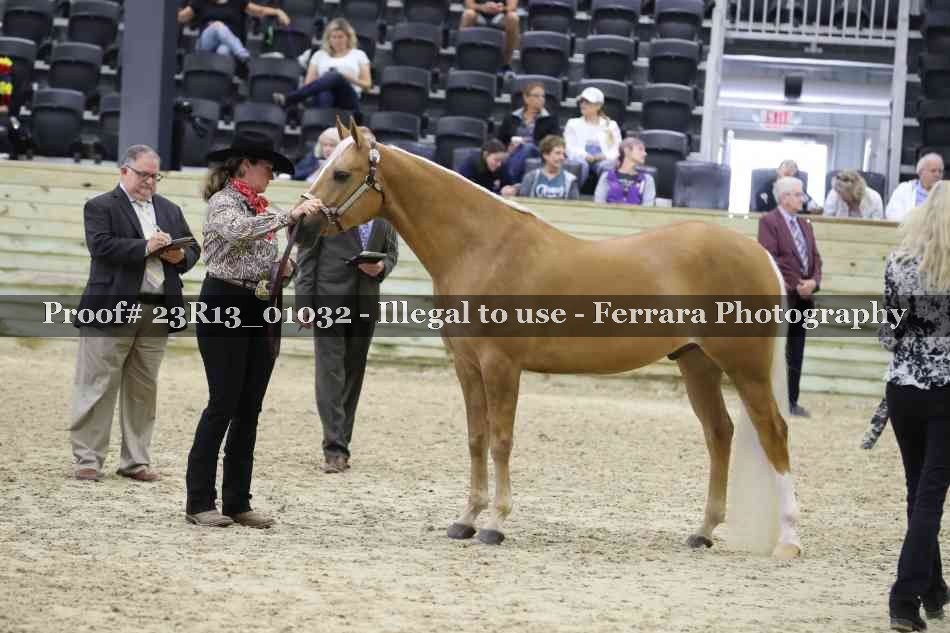 Proof Number 23R13_01032