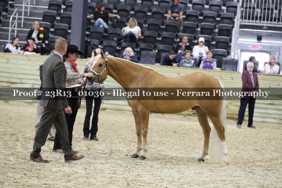 Proof Number 23R13_01036