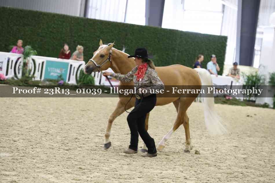 Proof Number 23R13_01039