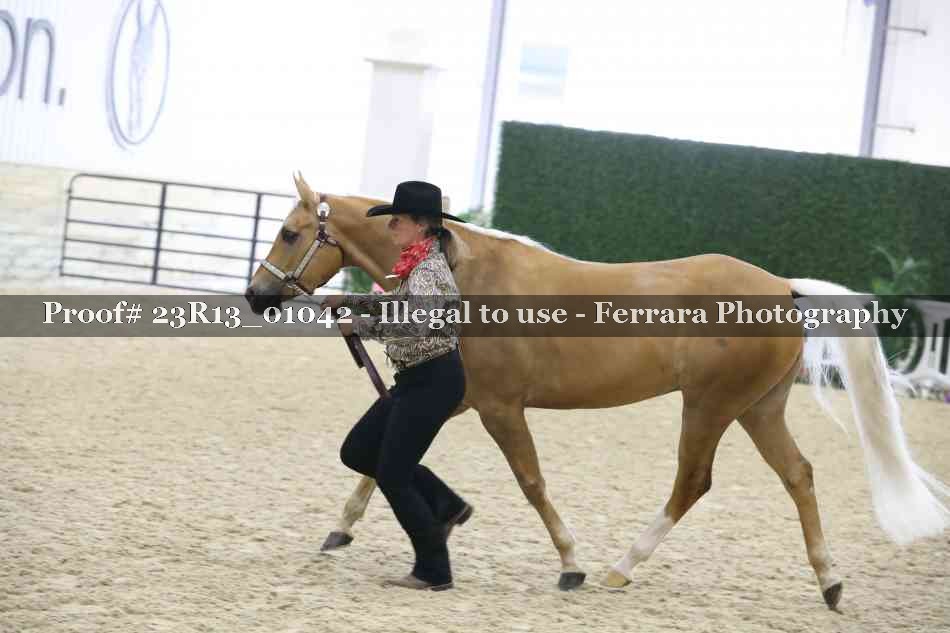 Proof Number 23R13_01042