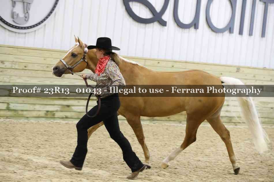 Proof Number 23R13_01043