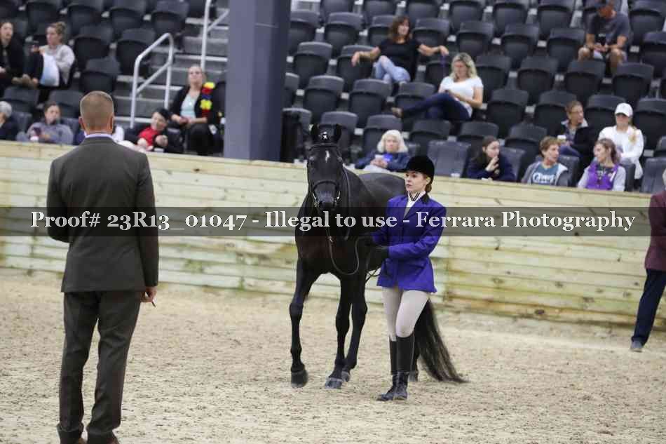 Proof Number 23R13_01047