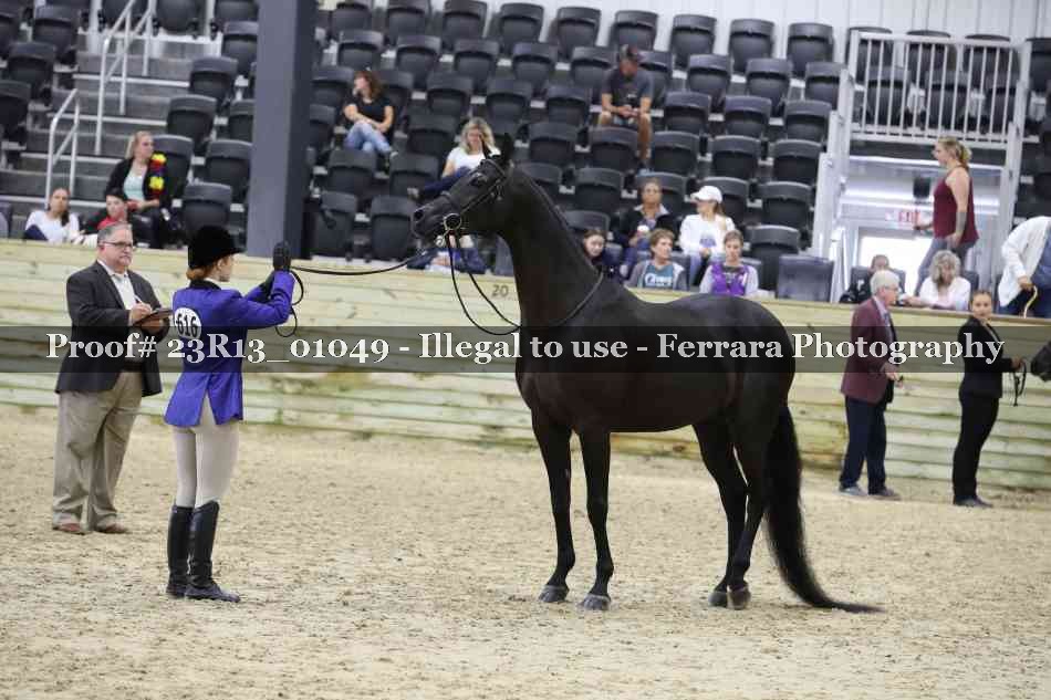 Proof Number 23R13_01049