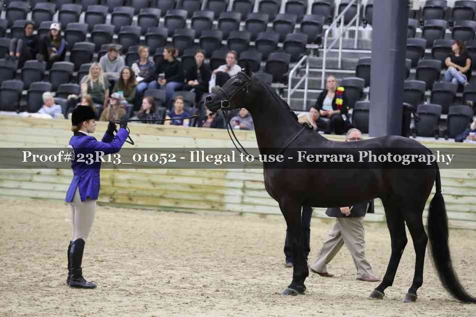 Proof Number 23R13_01052