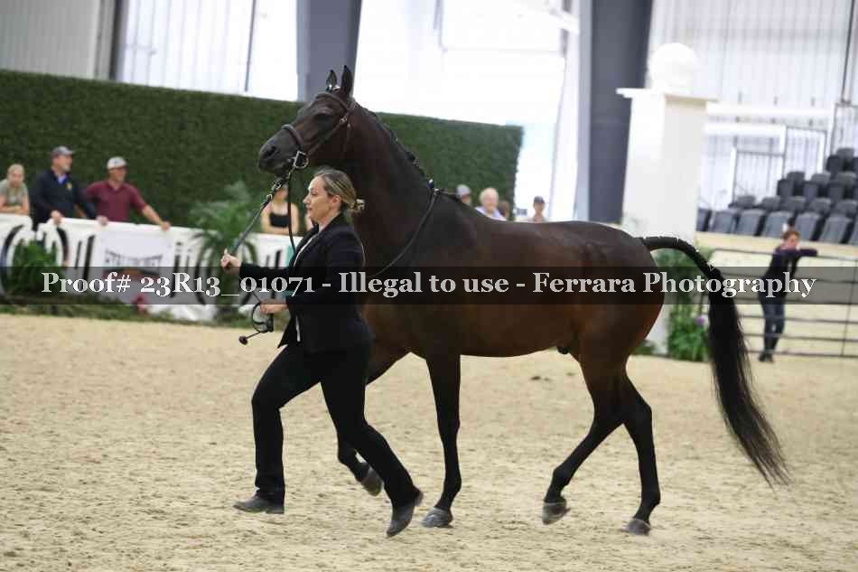 Proof Number 23R13_01071
