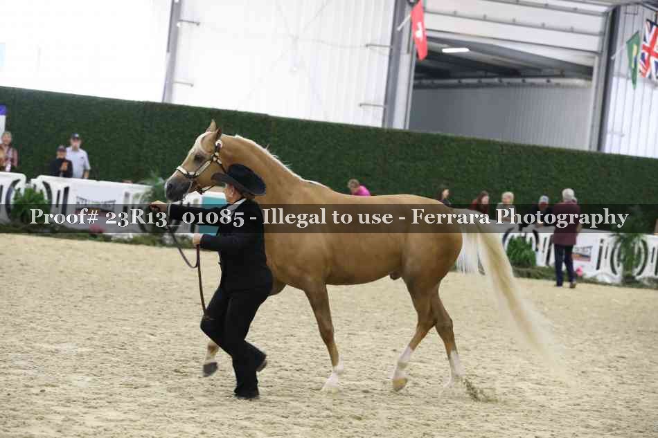 Proof Number 23R13_01085