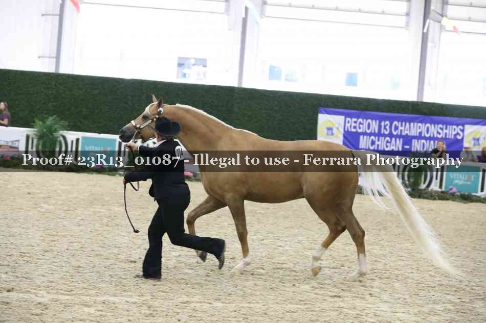 Proof Number 23R13_01087