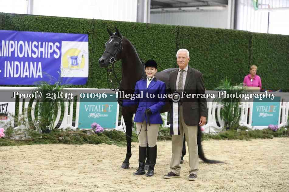 Proof Number 23R13_01096