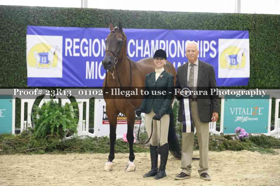 Proof Number 23R13_01102