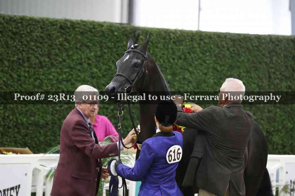 Proof Number 23R13_01109