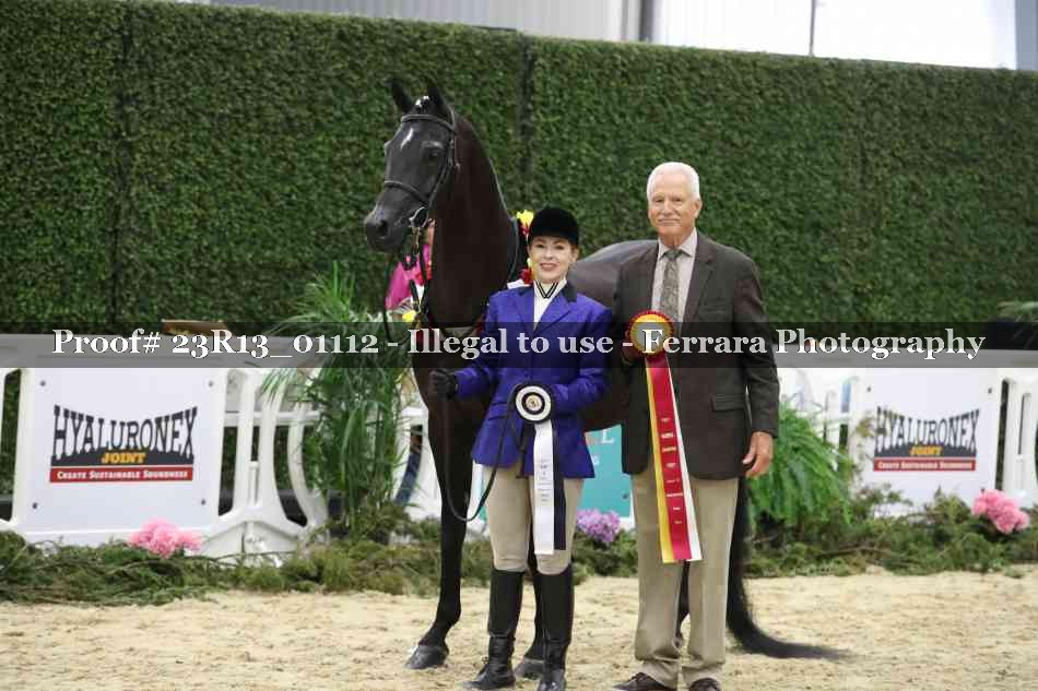 Proof Number 23R13_01112