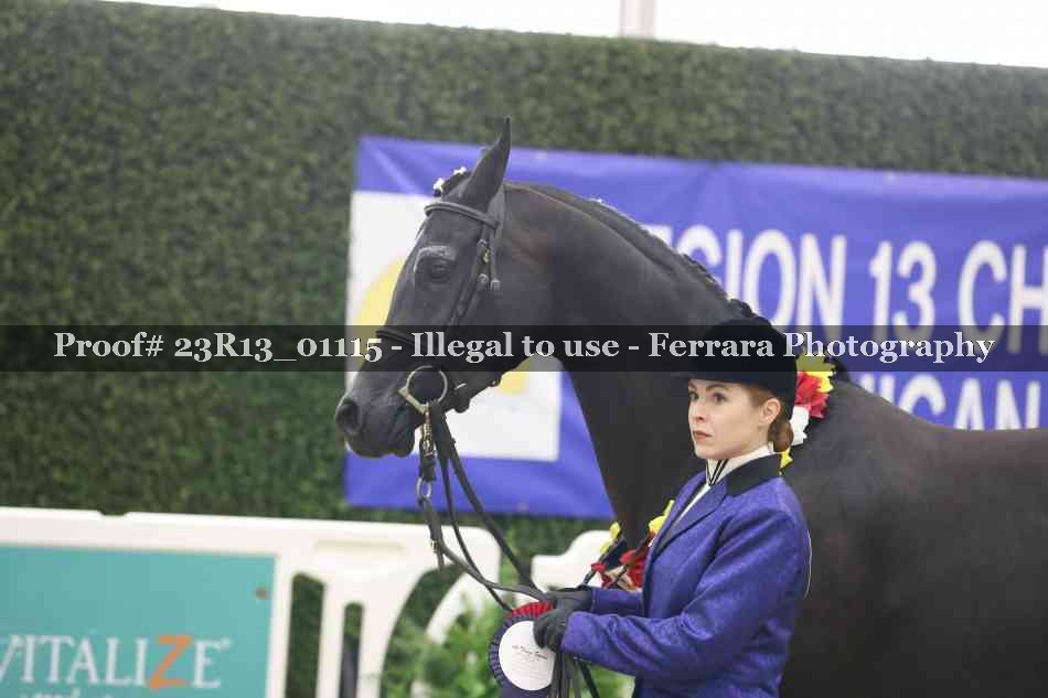Proof Number 23R13_01115