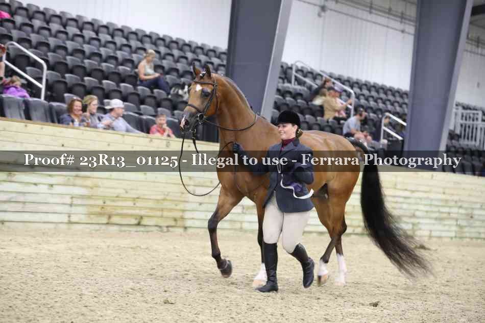 Proof Number 23R13_01125