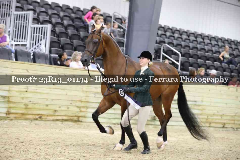 Proof Number 23R13_01134