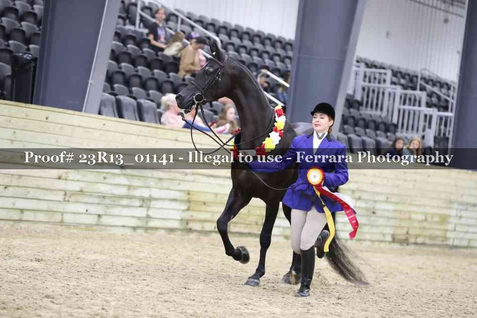 Proof Number 23R13_01141