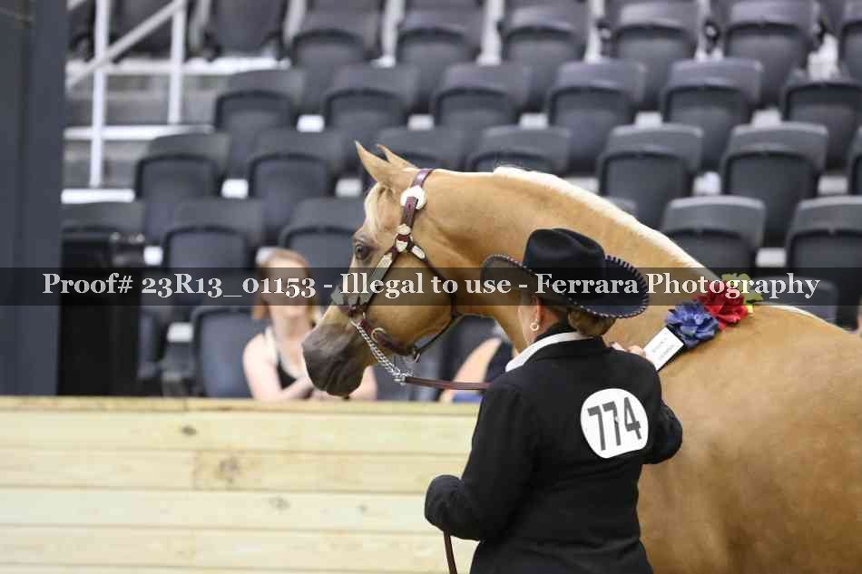 Proof Number 23R13_01153
