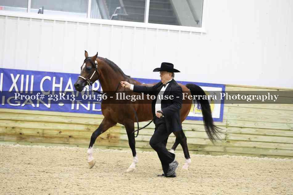 Proof Number 23R13_01156