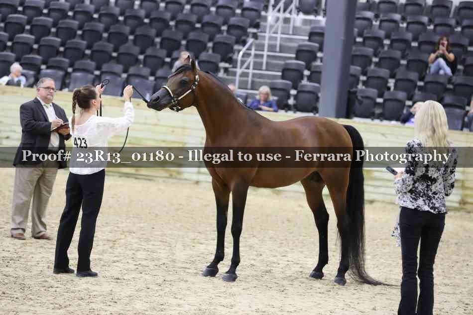 Proof Number 23R13_01180