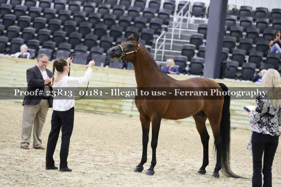 Proof Number 23R13_01181