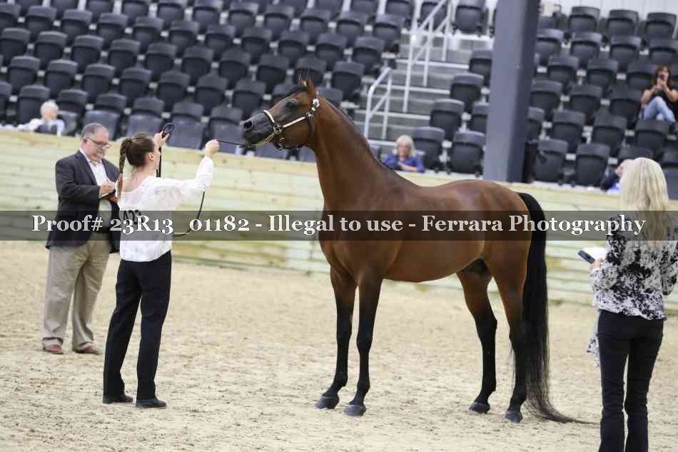 Proof Number 23R13_01182