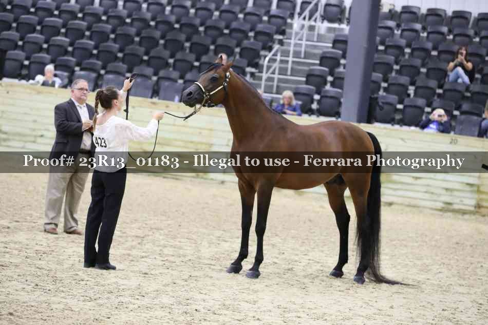 Proof Number 23R13_01183
