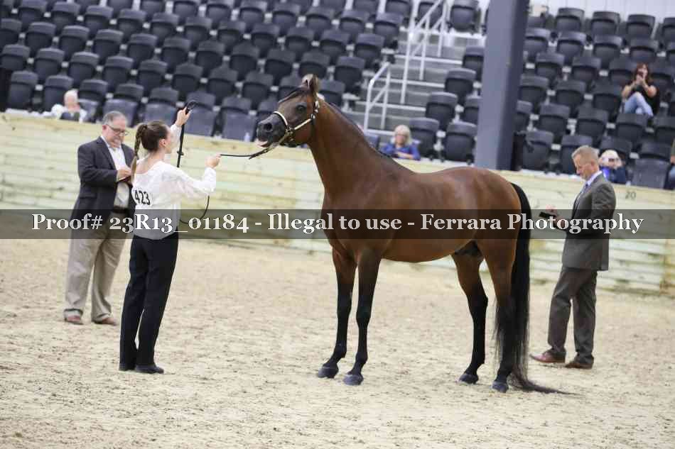 Proof Number 23R13_01184