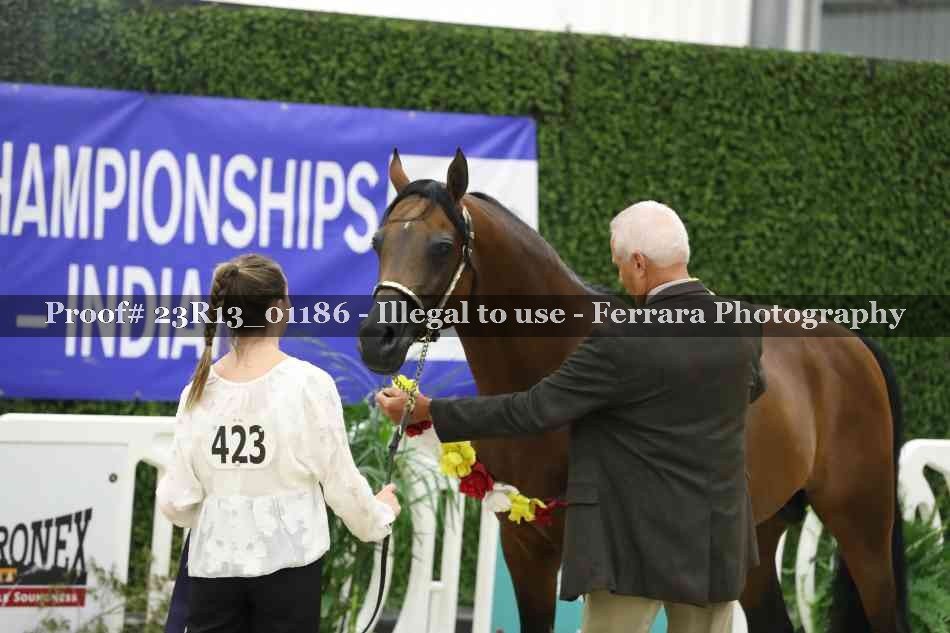 Proof Number 23R13_01186