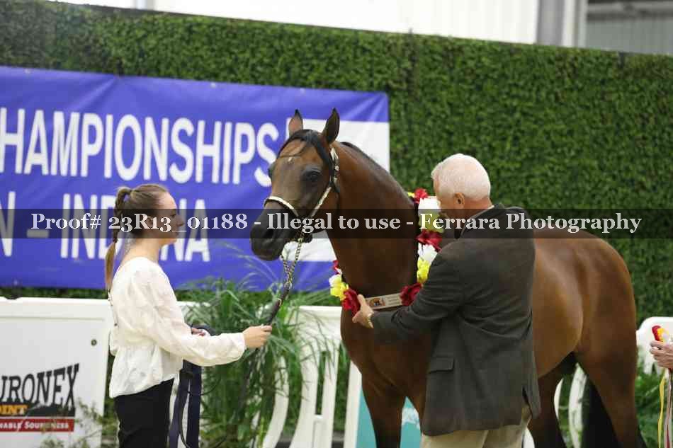 Proof Number 23R13_01188