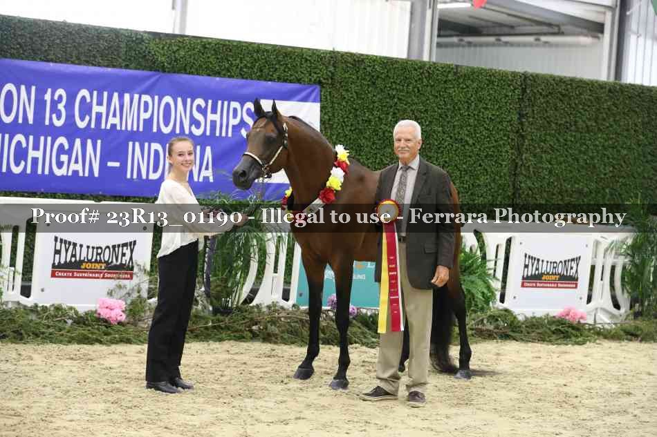 Proof Number 23R13_01190