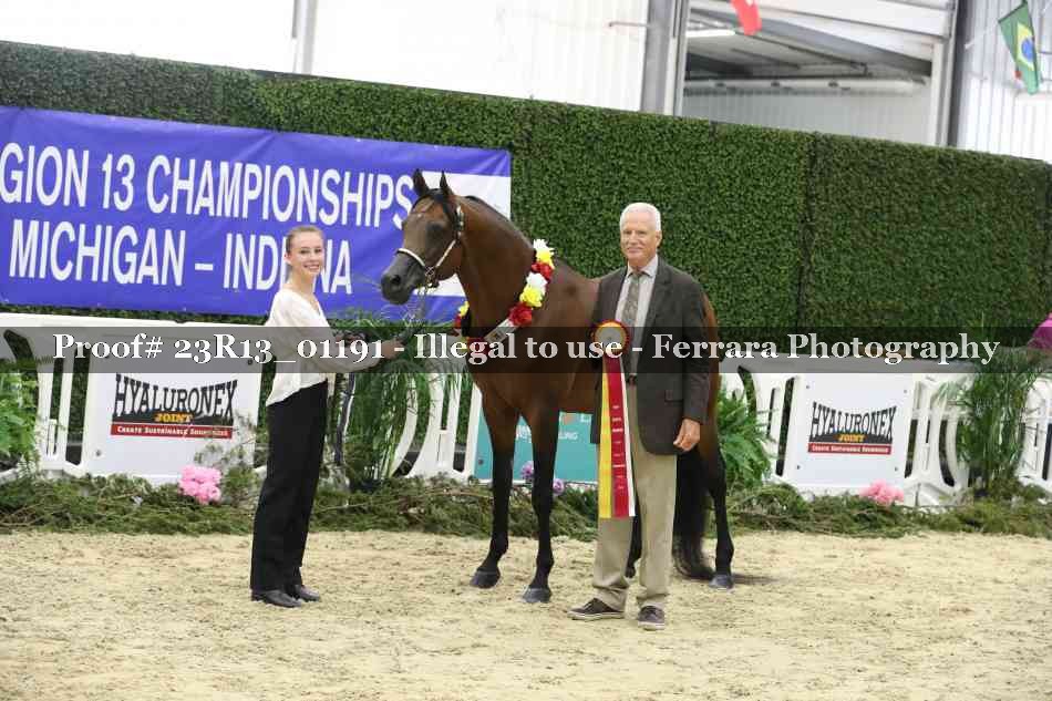 Proof Number 23R13_01191
