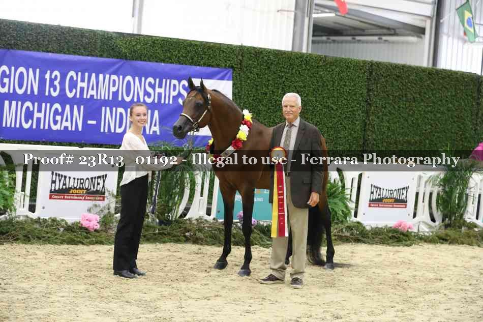 Proof Number 23R13_01192