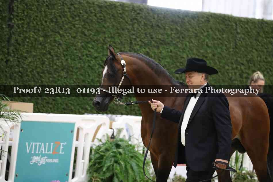 Proof Number 23R13_01193
