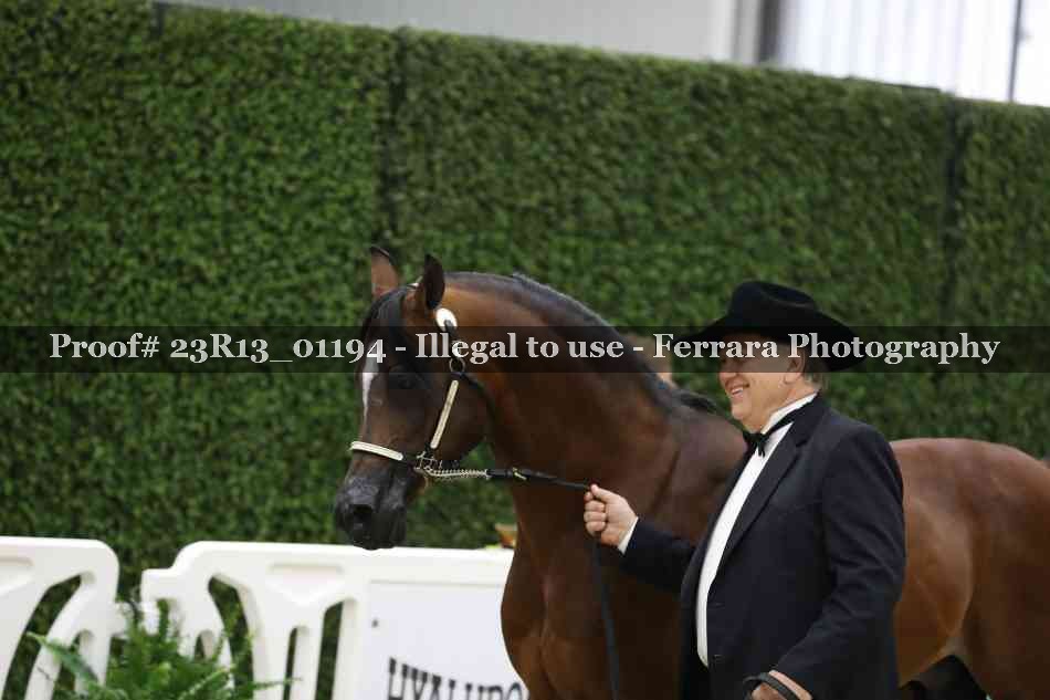 Proof Number 23R13_01194