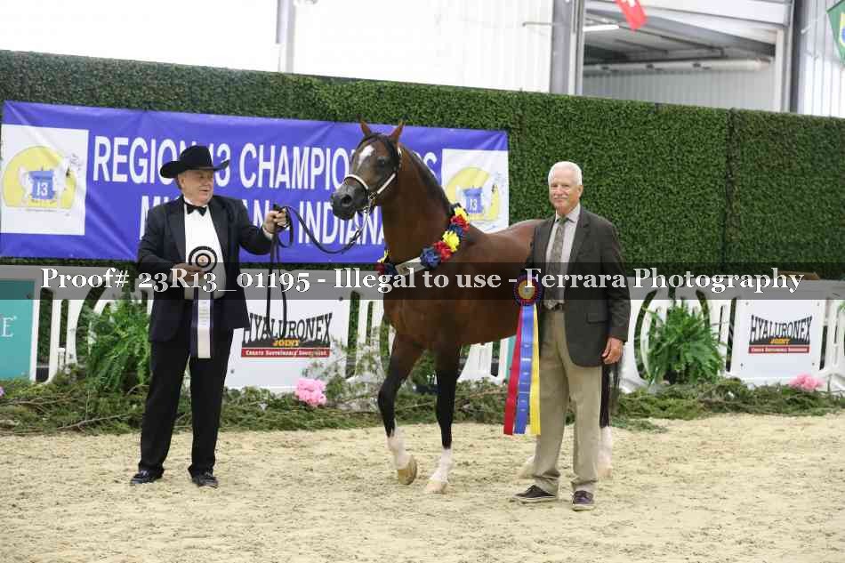 Proof Number 23R13_01195