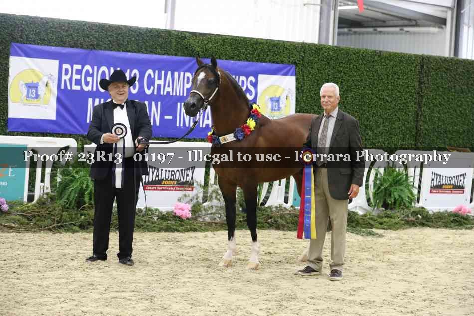 Proof Number 23R13_01197