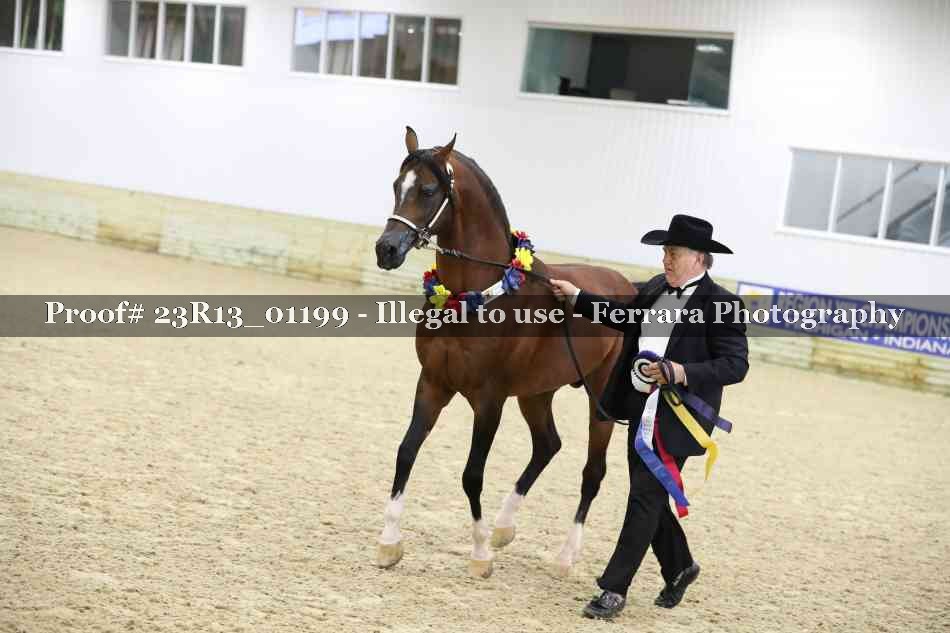 Proof Number 23R13_01199