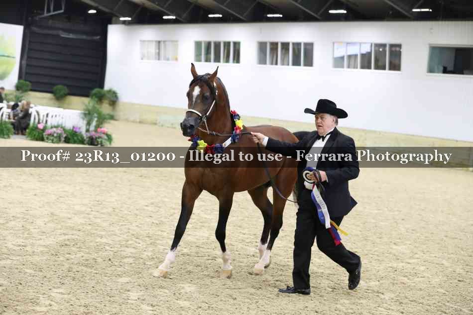 Proof Number 23R13_01200