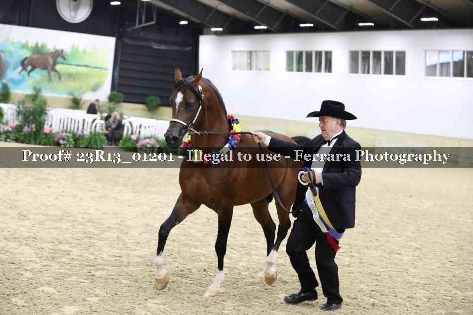 Proof Number 23R13_01201